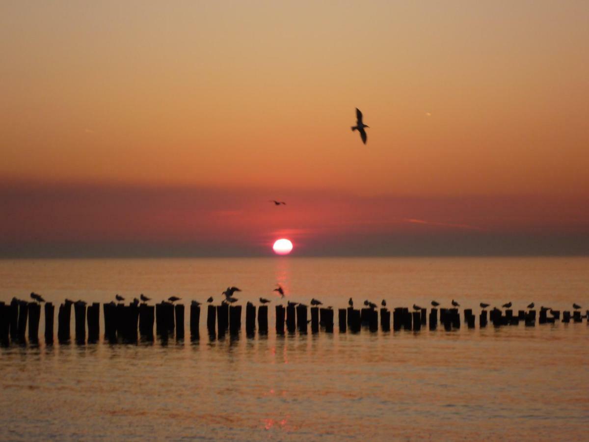 Vakantiehuis Domburg, Kindvriendelijk Do02 Esterno foto